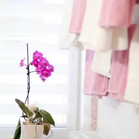 Apartamento Lange *