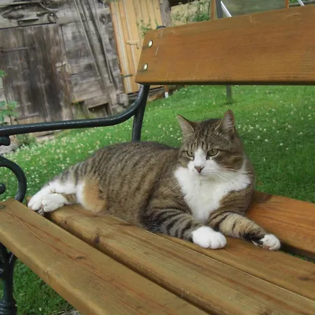 Lange Apartament Göstling an der Ybbs