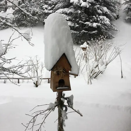 Lange * Göstling an der Ybbs