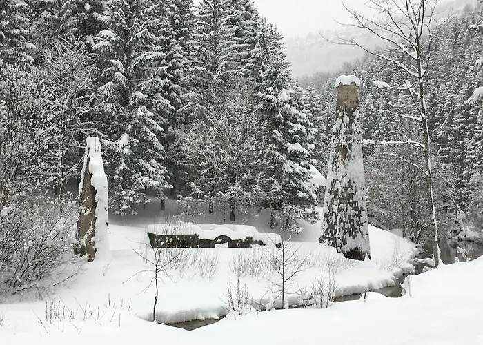 Lange 伊布斯河畔的戈斯特林